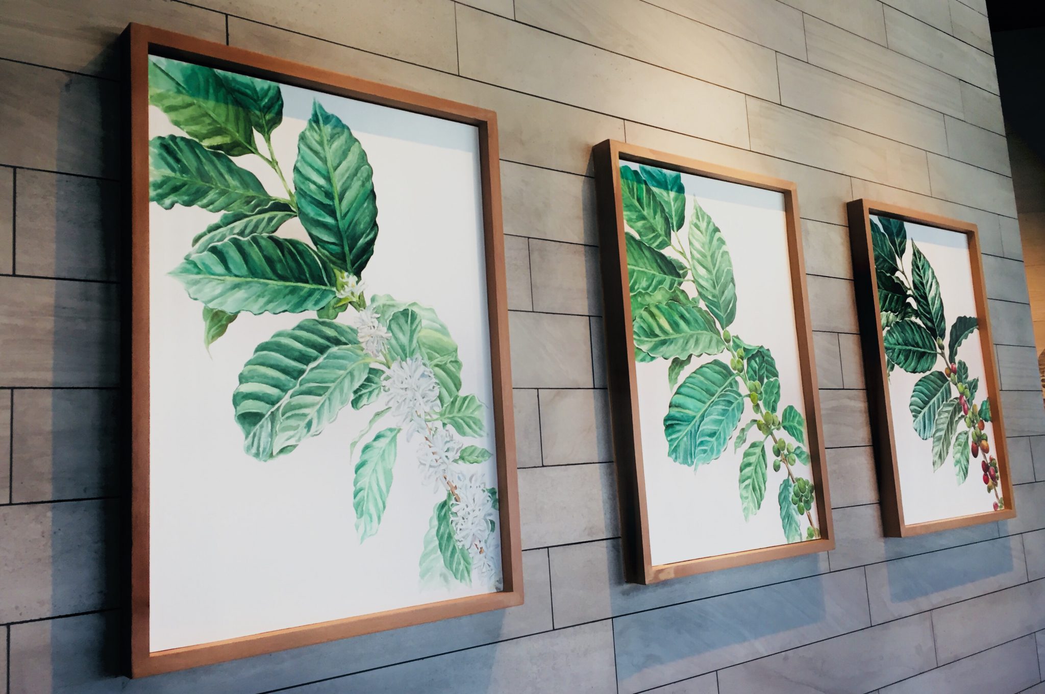 スターバックス/Starbucks in Mactan New Town、セブ島